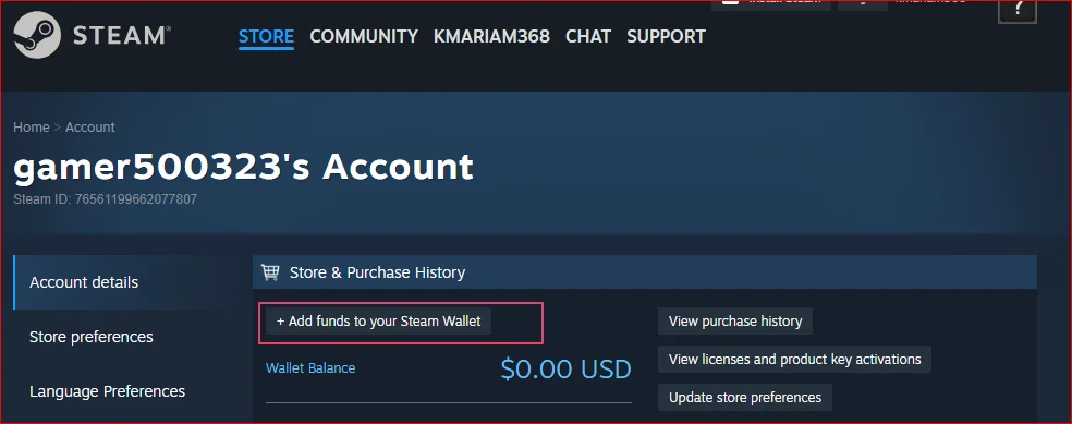 steam account details settings